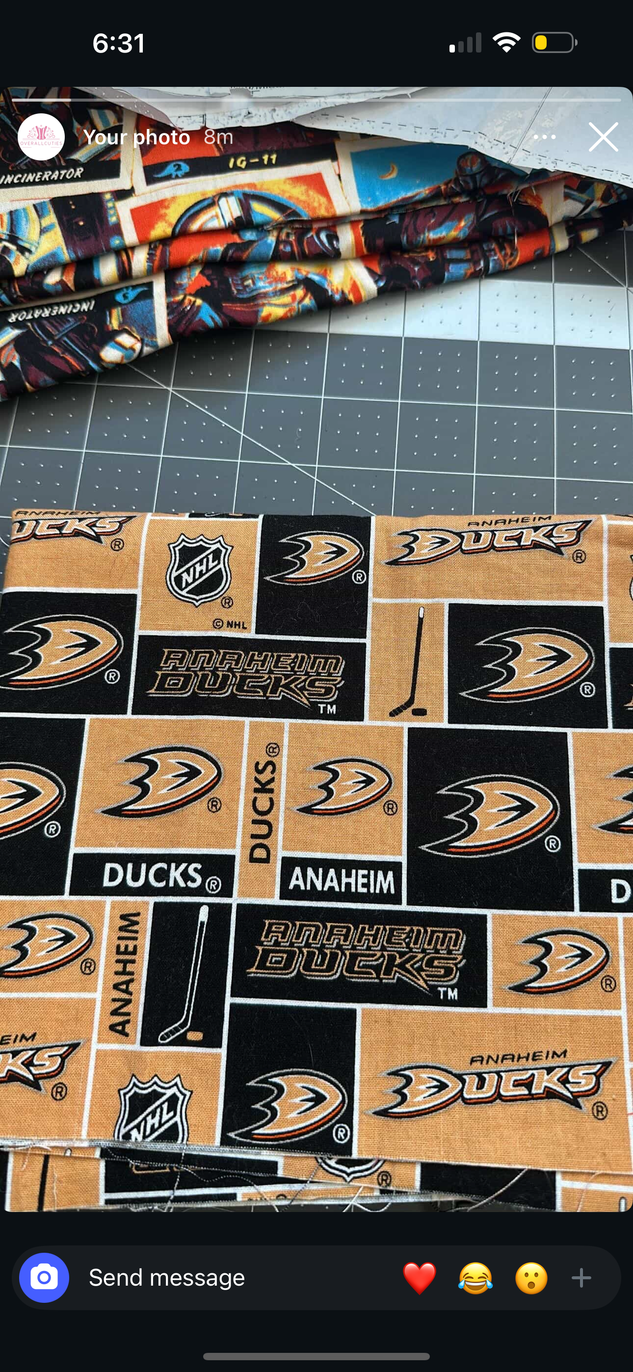Steph’s corset 🏒