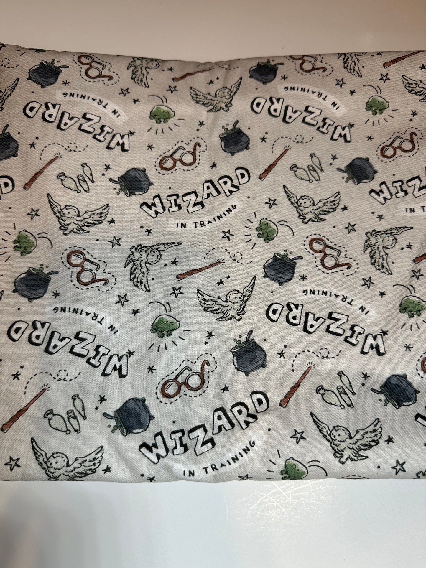 Wizard training(NEW Fabric)