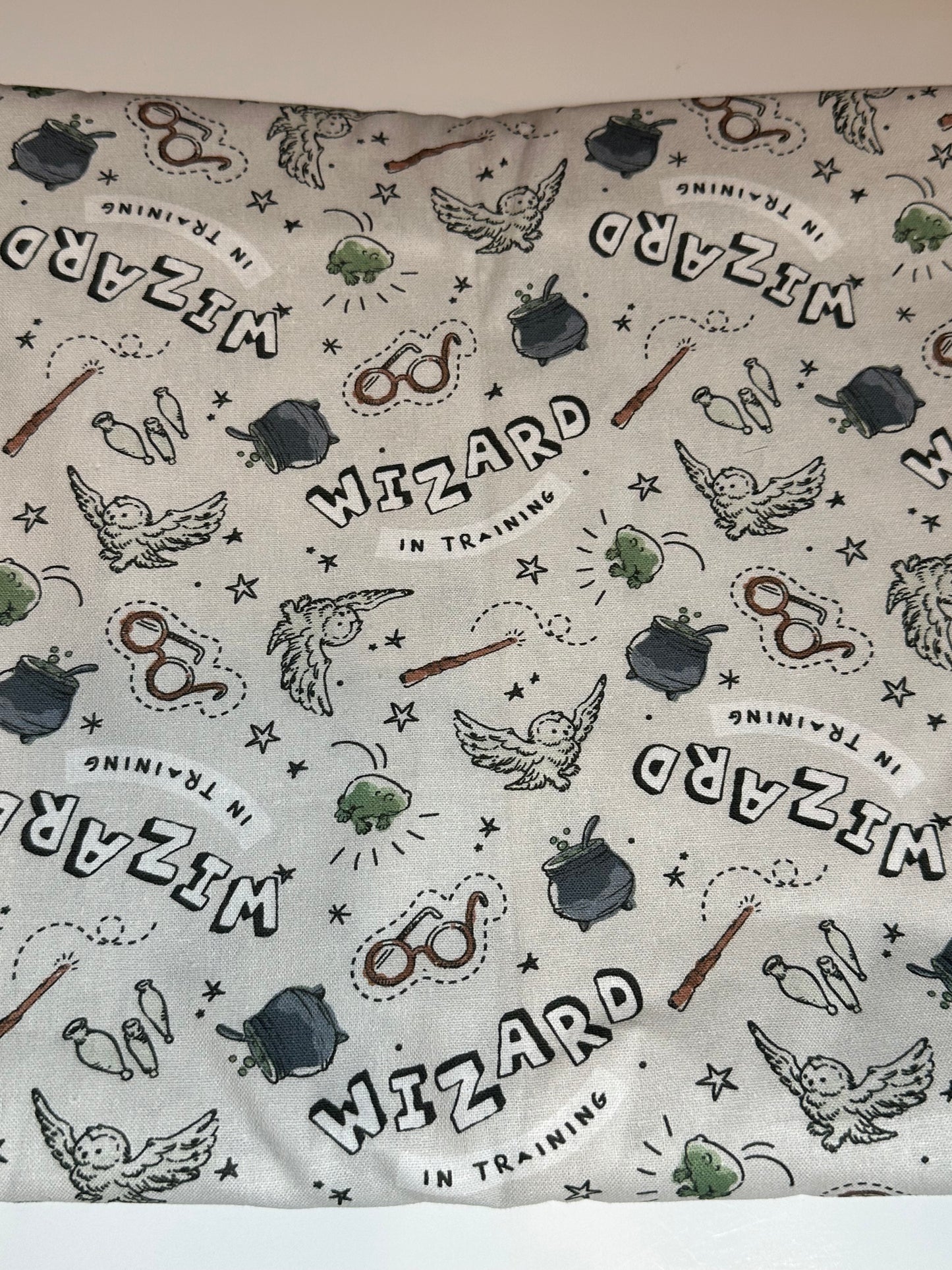 Wizard training(NEW Fabric)