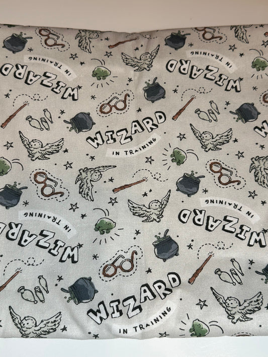 Wizard training(NEW Fabric)